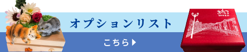 オプションリストはこちら