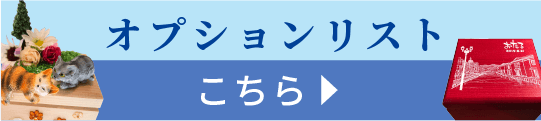 オプションリストはこちら